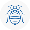 Bed Bug Extermination In Ashtead
