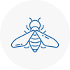 Bee Nest Removal Ashtead