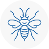 Ashtead Hornet Nest Removals