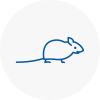 Mice Exterminators In Ashtead