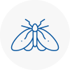 Moth Control Specialists In Ashtead