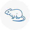 Rat Control Ashtead