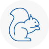Ashtead Rodent Removals
