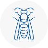 Ashtead Wasp Nest Removal